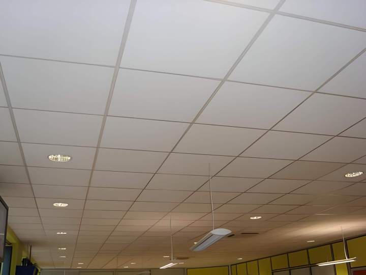 Faux plafond Guadeloupe
